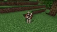 A woods wolf in Minecraft Bedrock Preview 1.20.80.21. (Image via Mojang)
